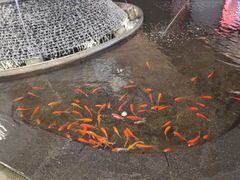 -新世界大丸百货