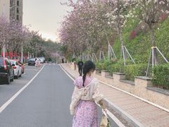 -小南山公园