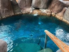 -大江户·温泉洗浴(浑南店)