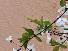 -十二道丰味·徐州土菜·烧烤(何山路店)