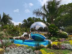 -深圳仙湖植物园