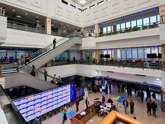 -上海市东方医院(总院)