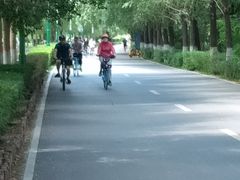 -长白岛森林公园