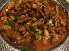 -俭寨大盘鸡·缸子肉·小公鸡·新疆菜(云通店)