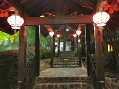 -崇阳三特浪口温泉