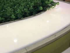 -麦当劳(温州人民路店)