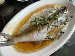 清蒸白水鱼-品渔味湖鲜馆(拈花湾店)