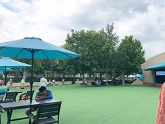 -秦皇岛乐岛海洋王国