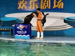 -南昌海洋公园