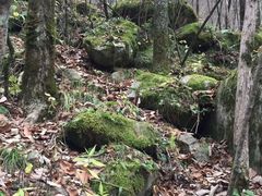 -青峰峡国家森林公园