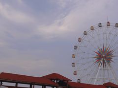-奉贤海滩