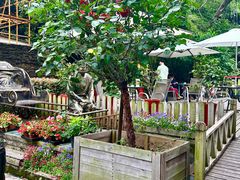 -老洋房花园饭店(绍兴路店)