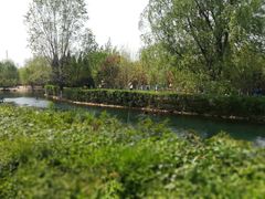 -长白岛森林公园