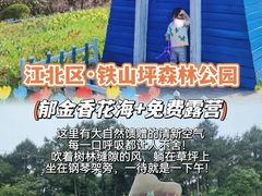 -铁山坪森林公园