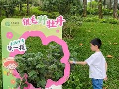 -云溪植物园