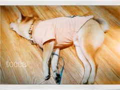 -ZING COFFEE 镜咖啡