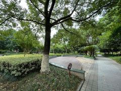 -处州公园