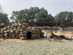 -西安秦岭野生动物园