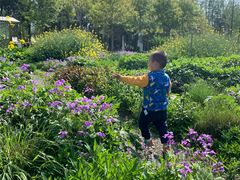 -前小桔亲子创意农场·草莓采摘·露营烧烤