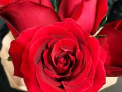 -那些花儿鲜花店(小寨店)