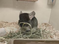 -龙猫仔乐园(惠福东路店)