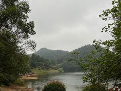-桃花岭景区