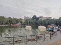 -莲湖公园