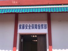 -嘉定紫藤园