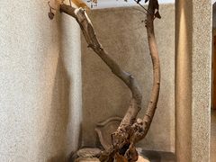 -无味舒食(环岛路店)