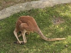 -大连森林动物园