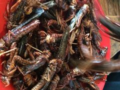 iphone_upload_pic-柿子树炭烤羊腿(金台路店)