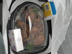 -连鹭海鲜·海肠捞饭·海胆饭(星海店)