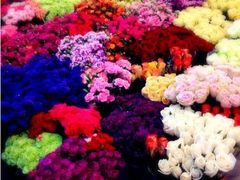 -双季花艺园艺市场(浦东店)