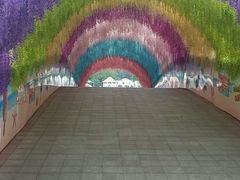 -国色天乡三期陆地乐园