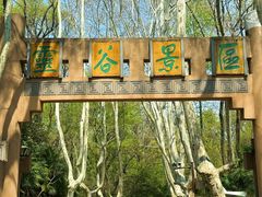 -灵谷景区