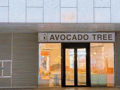 -油梨树 AVOCADO TREE(亮马桥店)