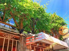 -金山嘴渔村