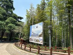 -紫金山山顶公园