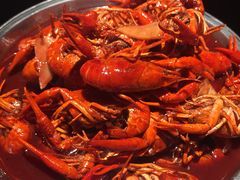 -京韵胡同·酱香羊蝎子火锅涮肉(长寿路店)