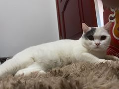 -美联众合24小时·皮肤科·外科·全科诊疗中心(华苑分院)