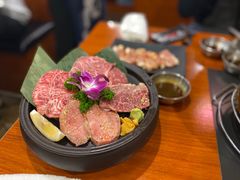 -大阪烧肉BAKA一代(十亩地店)