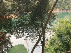 -广州市流溪河国家森林公园