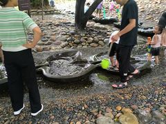 -成都市活水公园