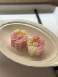 -广州和睦家医院·医学月子
