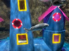 -太平洋海底世界