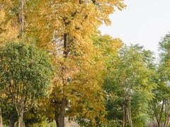 -白鹭湾湿地公园