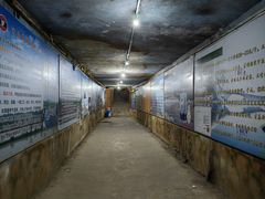 -东方巨龟苑景区