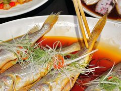 -京悦南门涮羊肉·羊蝎子火锅(田林路店)