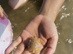 -大梅沙游艇度假酒店