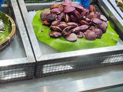 -集杰尚品海鲜烤肉自助餐厅(乳山振华店)